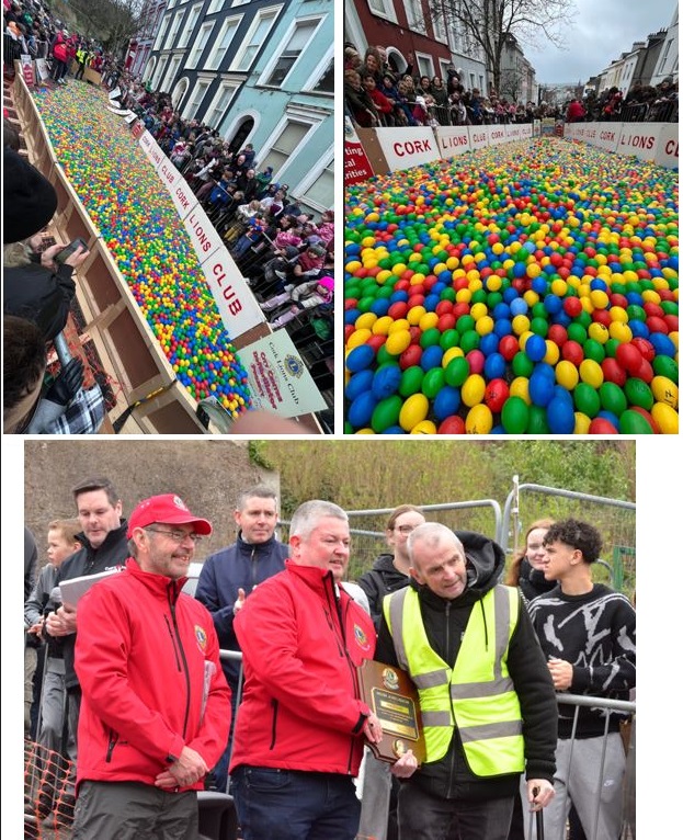cork lions club cork charity part of international Lions club District